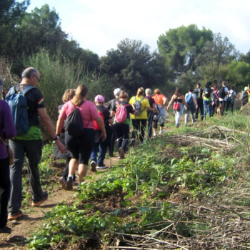Captura de pantalla 2025-10-28 094555