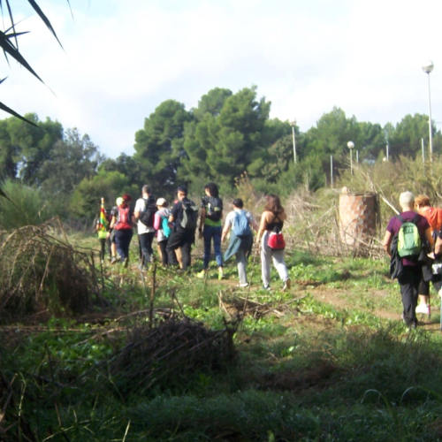 Captura de pantalla 2025-10-28 094626